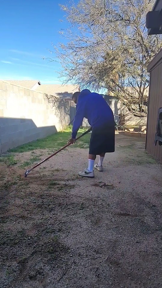 Sticks & Stones Yard Service project