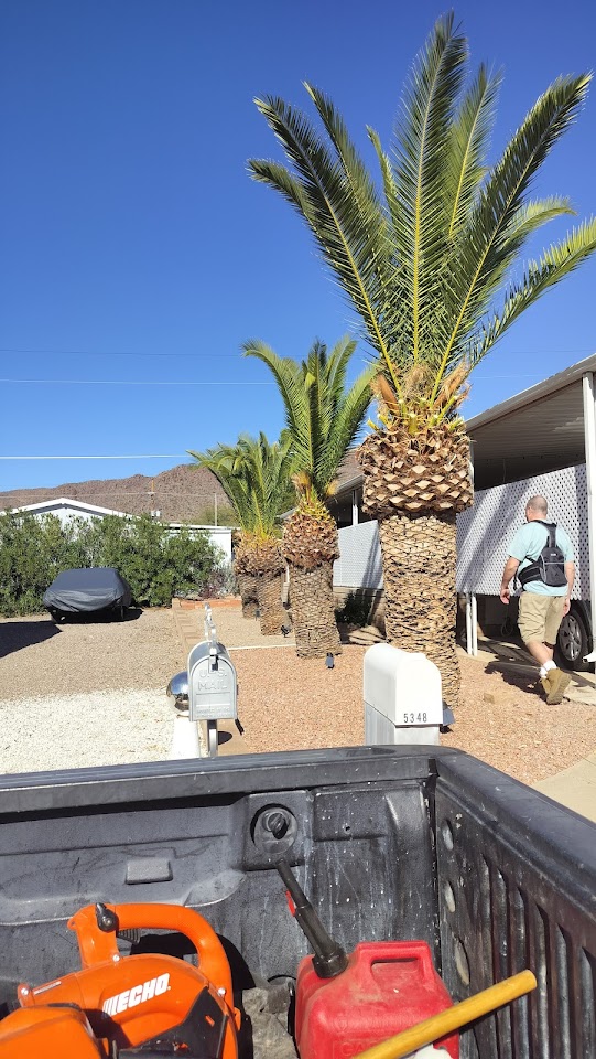 Sticks & Stones Yard Service project